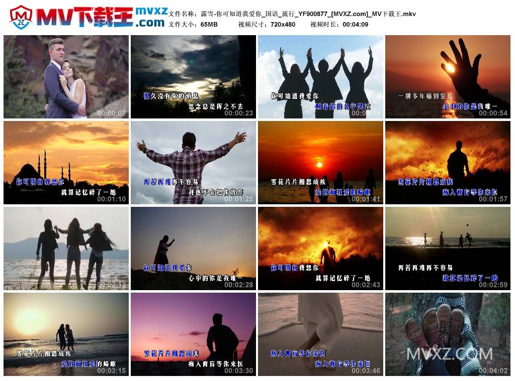 露雪-你可知道我爱你_国语_流行_YF900877